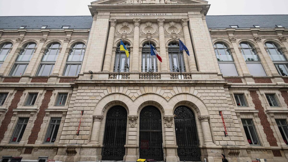 Nour Atallah Obtains Visa to Pursue Studies in Renowned Lille School