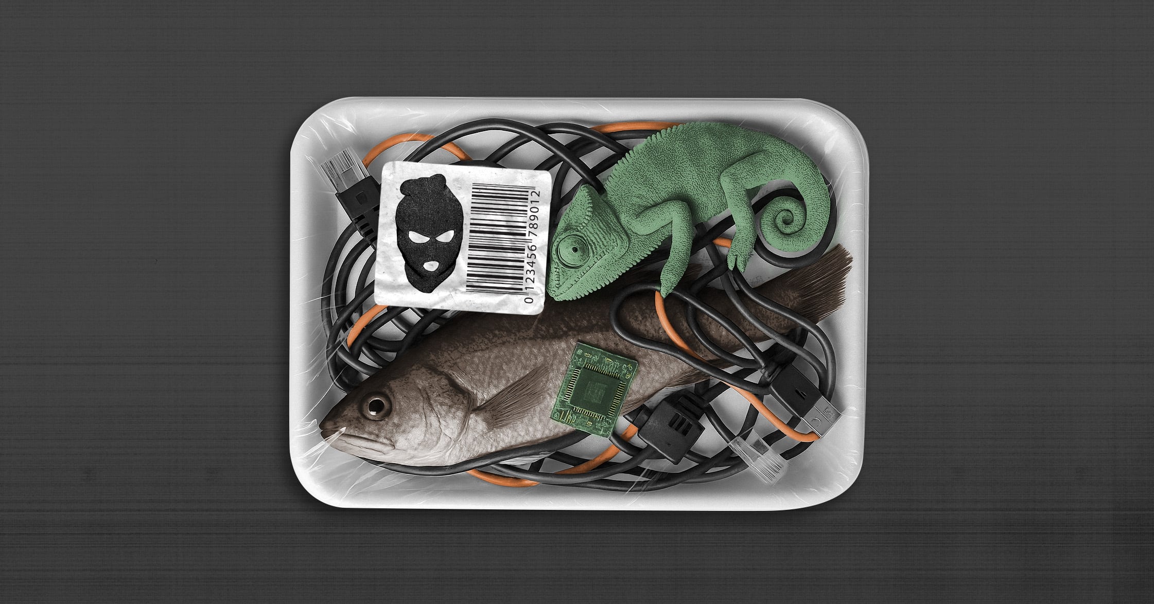 Criminalité verte : inquiétante progression des mafias spécialisées dans l’environnement