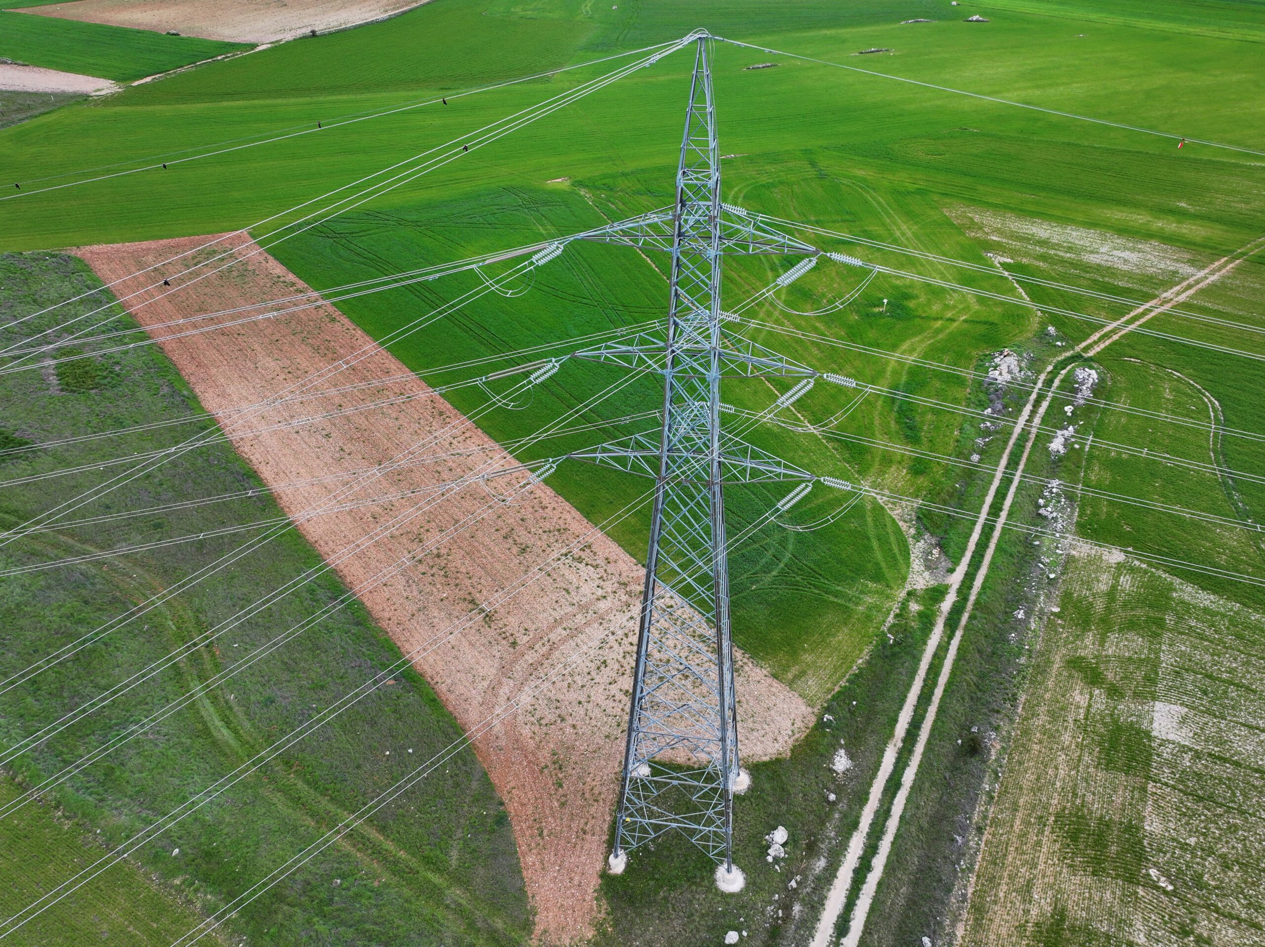 Transition énergétique : Guillaume Texier (Rexel) déplore la rigidité réglementaire de l&rsquo;Union européenne